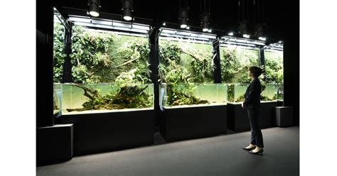 天野尚 NATURE AQUARIUM展 東京 東京ドームシティ Gallery AaMoギャラリー アーモで開催