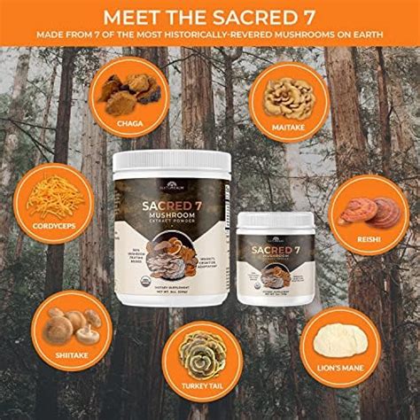 Naturealm Sacred 7 Mushroom Extract Powder 2 Oz Chaga Cordyceps