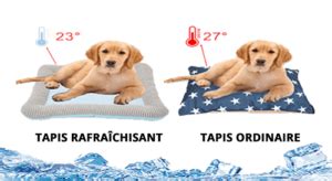 Coussin Rafra Chissant Pour Chien Et Chat Daisypets