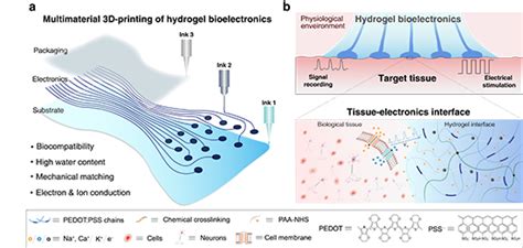 南科大刘吉江西科技师大卢宝阳 Afm：3d打印植入式水凝胶生物电子中国聚合物网科教新闻