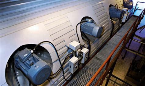 Термососна и ее применение в наружной отделке и интерьере