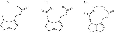 Toxins Free Full Text Pyrrolizidine Alkaloids In Foods Herbal