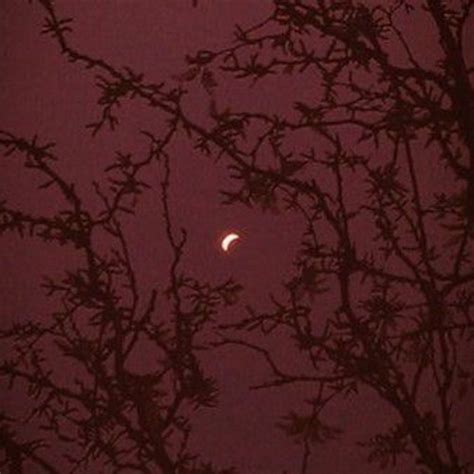 Stream Oliver Listen To Fuck This World Playlist Online For Free On SoundCloud