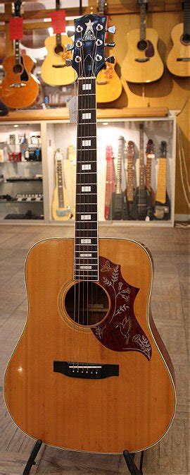 1970s Canda Hummingbird Model 202 Natural Western Mij