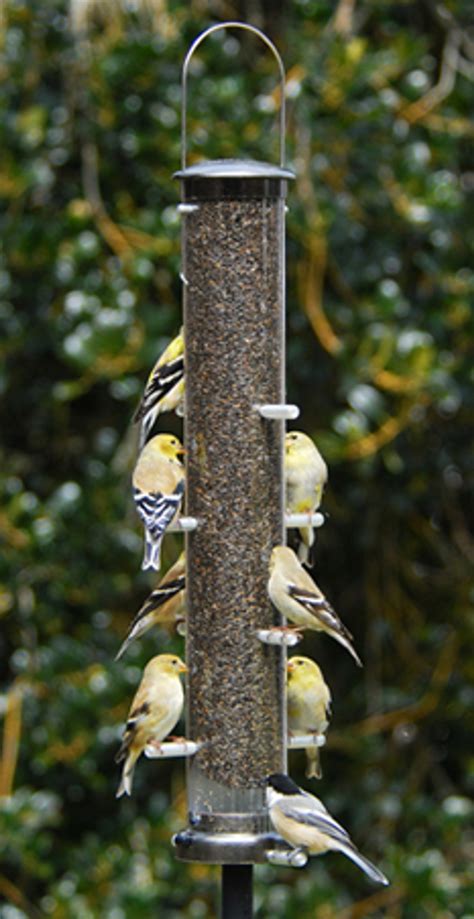 Bird Feeder - Aspects Hummingbird HummZinger Classic - Made From RI