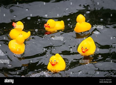 London Uk 27 July 2023 Some Of The One Thousand Ducks In A Charity