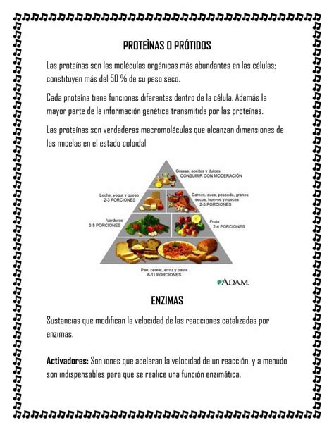 Pdf Proteinas Enzimas Vitaminas Acidos Nucleicos Adn Y Arn