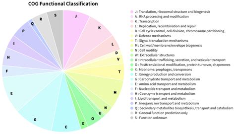 Github Moshi Cogclassifier A Tool For Classifying Prokaryote