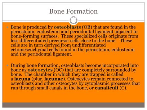 Ppt Periodontics Powerpoint Presentation Free Download Id 2337158