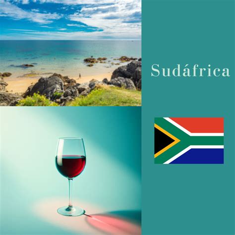 Cosas Sobre Los Vinos De Sud Frica Que Todo Aficionado Deber A Saber