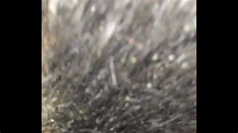 Infiel Descubierta Search XVIDEOS