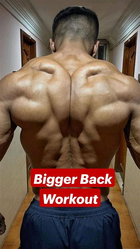 Bigger Back Workout | Back workout, Back workout bodybuilding, Abs and cardio workout