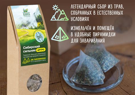 Купить травяной чай Сибирский сильник в пирамидках в «Алтайвита»