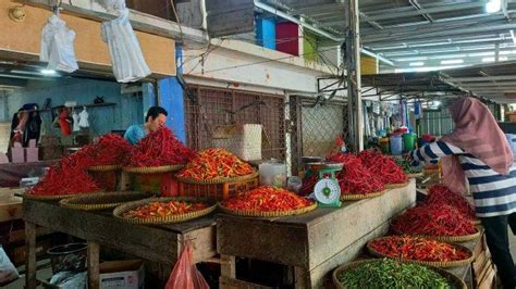 Cabai Rawit Makin Pedas Di Harga Rp90 Ribu Begini Cara Menanam Cabai