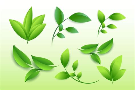 Premium Vector Fresh Green Leaves Ecological Vector Background