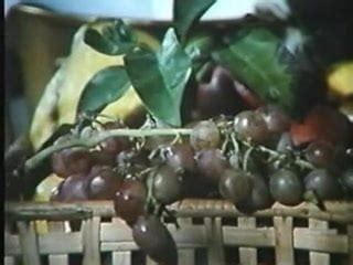 Brunettes Short Hair Vs Curly Brunette Porn XHamster