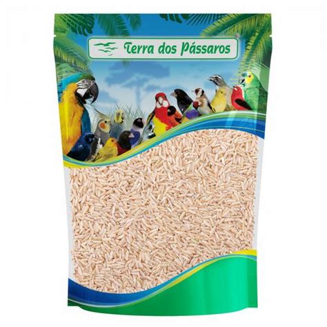 Semente De Arroz Integral Longo Puro 100g