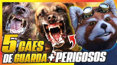 5 cães mais bravos e perigosos do mundo YouTube