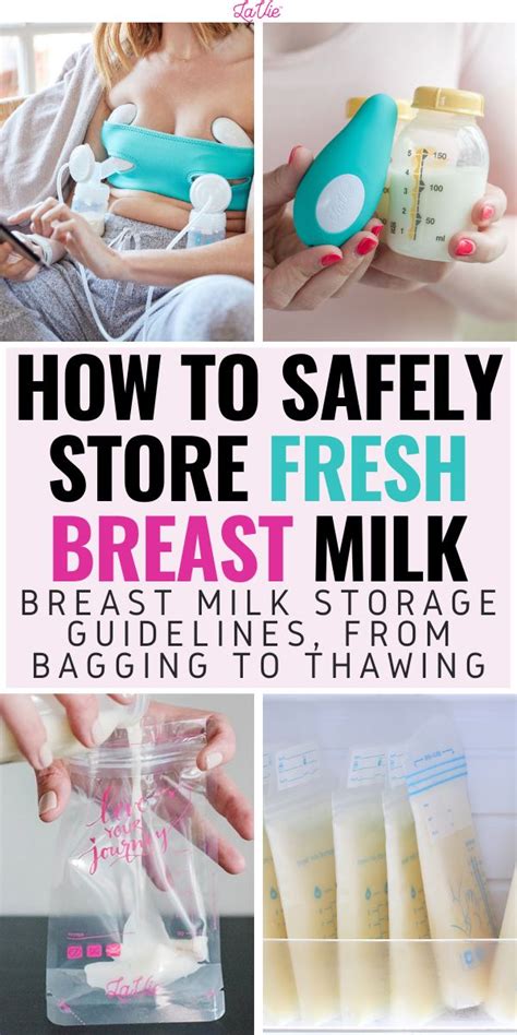 How To Store And Organize Breastmilk Lavie Mom Pumping Essentials