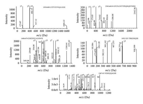 A Peptide Mass Spectra Of The Tryptic Digested Peptides As Obtained