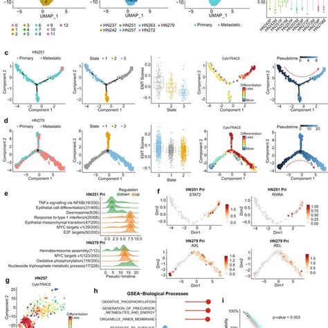 Scrnaseq Analysis Of Tumor Infiltrating T Cells And Establishing A