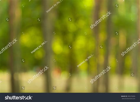 Blurry Nature Wallpaper Forest Bokeh Background Stock Photo 309270209 ...