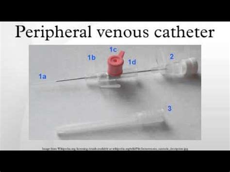 Percutaneous Central Venous Catheter