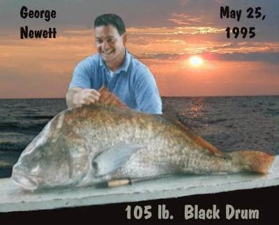 NJ Record Black Drum