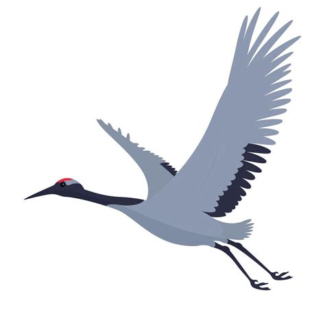 flying crane bird 11955581 Vector Art at Vecteezy