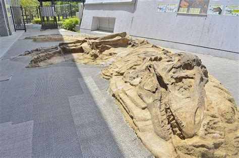 神流町恐竜センター 群馬・神流町恐竜センター