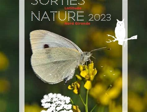 Sorties Nature Mairie De Laruscade