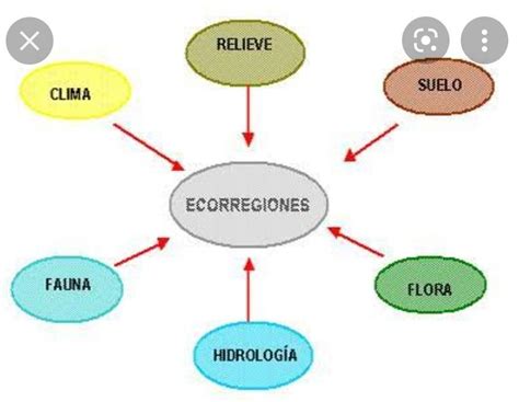 Las Ecorregiones Del Per Mapa Mental Hot Sex Picture