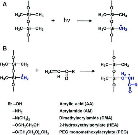 Reaction Mechanism Of Uv Graft Polymerization Onto The Pdms Surface