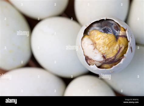 An Opened Balut Or Cooked Fertilized Duck Egg Is Pictured Among Stock