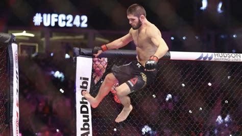 Has Khabib Nurmagomedov ever lost a fight?