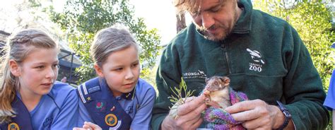 About Girl Guides Australia