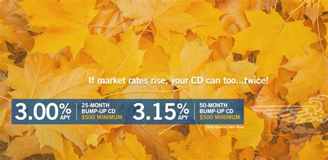 home rosedale federal savings loan association