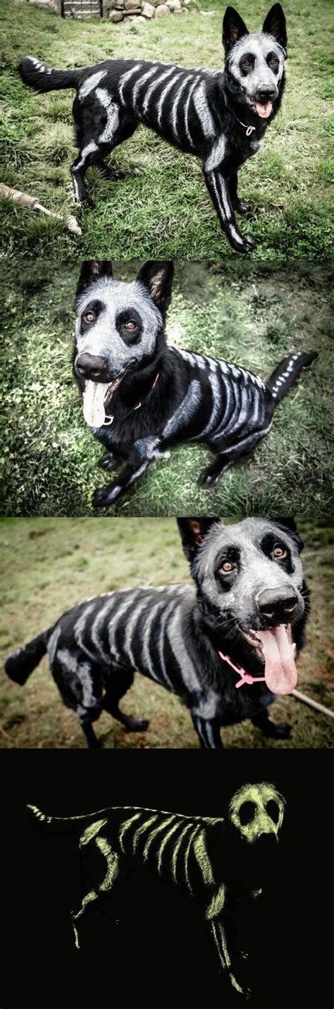 DIY Glow in the Dark Dog Skeleton Costume - Costume Yeti