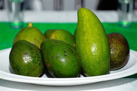 Apropal Lanza La Feria De La Palta Y Sus Derivados Para El De Mayo