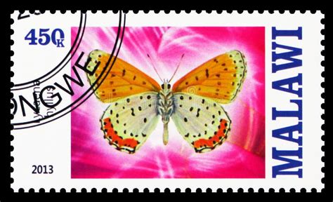 Postage Stamp Printed In Malawi Shows Lycaena Hyllus Butterflies Serie