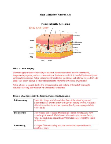The Biology Of Skin Color Worksheet Answer Key 5