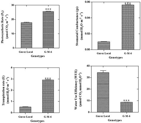 Leaf Gas Exchange Parameters Including Photosynthetic Rate Stomatal