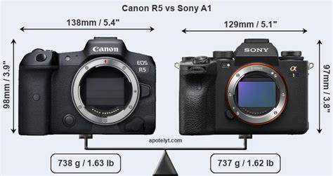 Yet Another Sony ALPHA 1 vs Canon EOS R5 Comparison Review