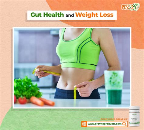 The Power of Gut Health To Weight Loss