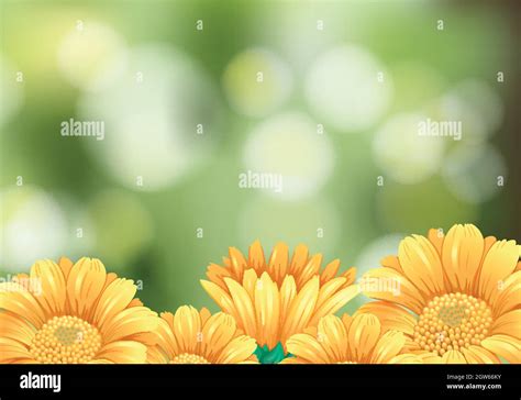 Background scene with yellow flowers in garden Stock Vector Image & Art ...