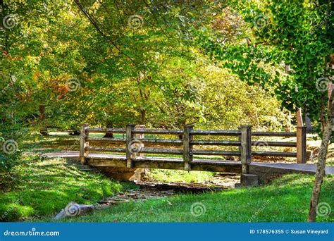 Wooden Bridge Over Rocky Stream In Woods In Early Autumn With Light And