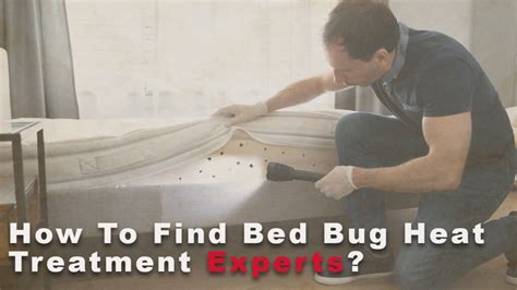 How To Find Bed Bug Heat Treatment Experts Texas Bed Bug Experts