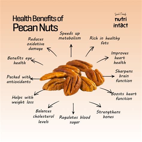 top health benefits  pecan nuts artofit