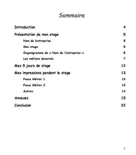 Rapport De Stage Exemple PDF