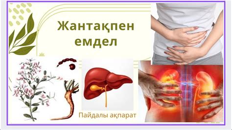 Жантақ жанға дауа - YouTube